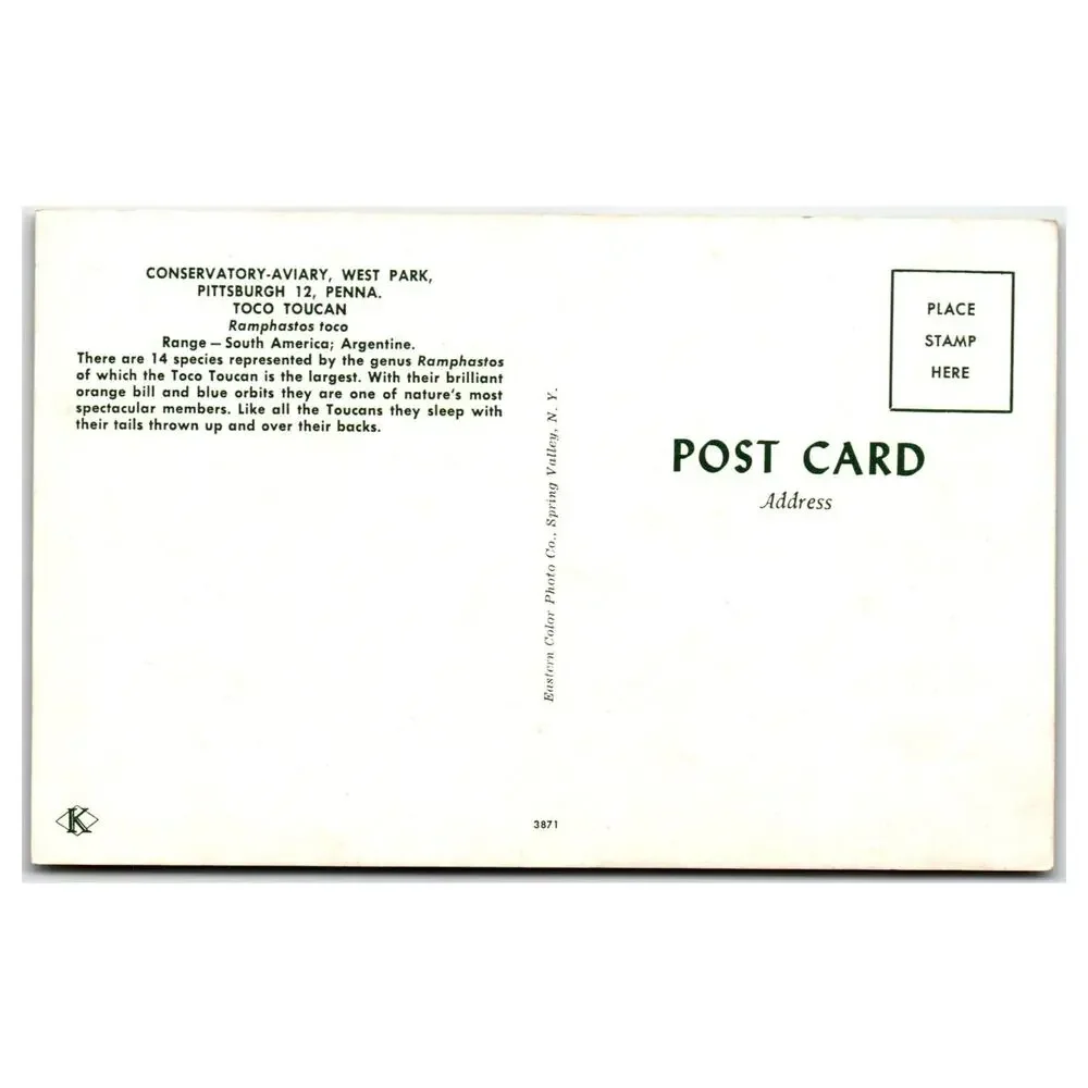 Vintage Toco Toucan Postcard 1938 Wm Hawkins Art Pittsburgh Aviary Exotic Bird - Picture 2 of 2